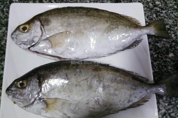黄豆酱焖泥猛鱼的做法图解1