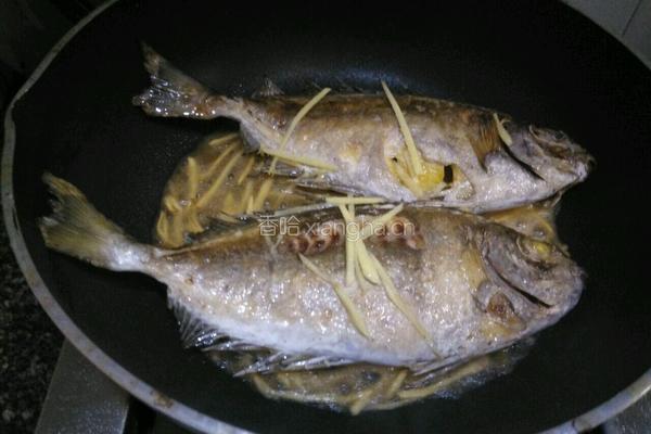 黄豆酱焖泥猛鱼的做法图解5