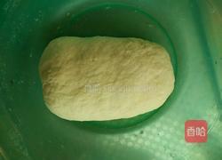 香菇猪肉饺子的做法图解3