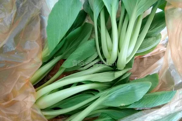 虾滑的做法图解7