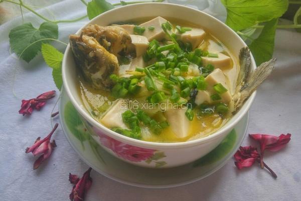 黄骨鱼豆腐汤的做法图解8