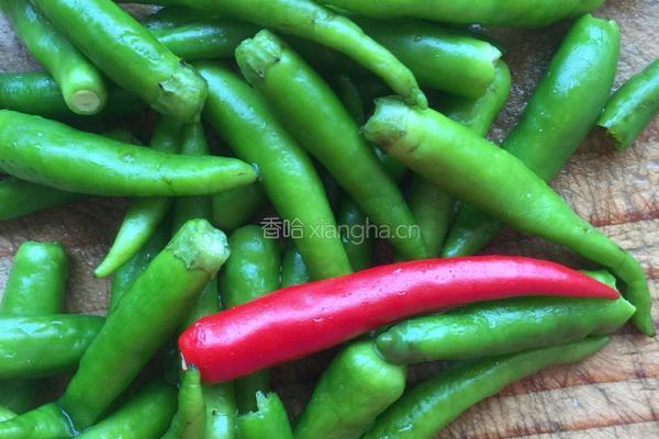 青椒肉沫的做法图解1