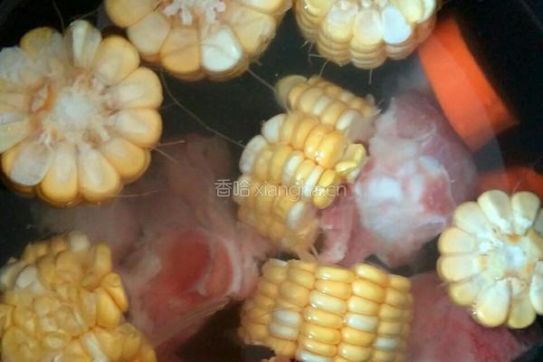 玉米骨头汤的做法图解5