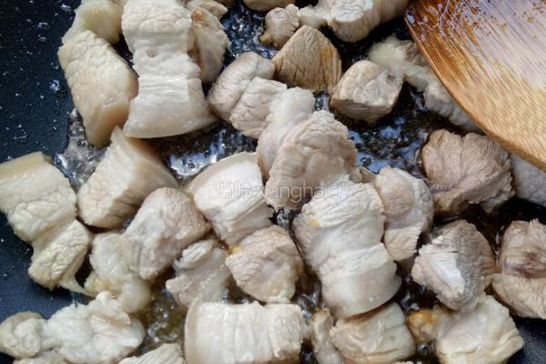 红烧肉炖粉条的做法图解4