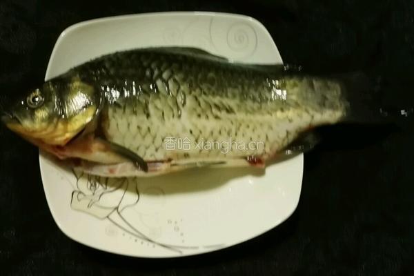 青菱鲫鱼豆腐汤的做法图解2