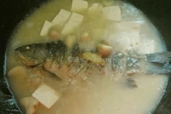 青菱鲫鱼豆腐汤的做法图解16