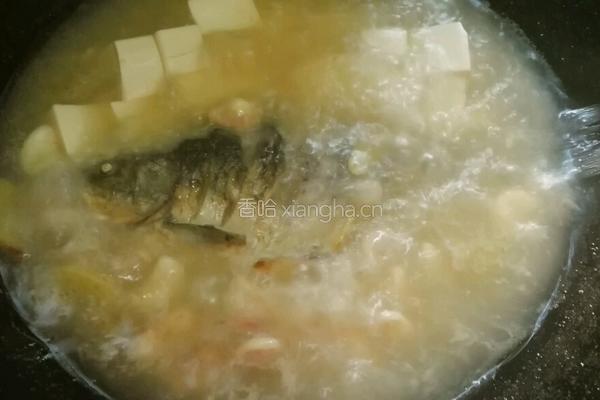 青菱鲫鱼豆腐汤的做法图解15