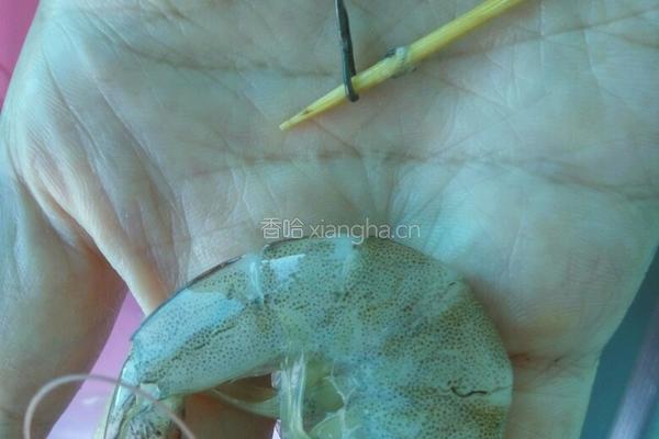 炒虾的做法图解2