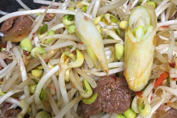牛肉炖豆牙的做法图解12