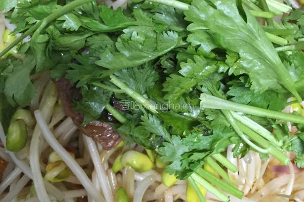 牛肉炖豆牙的做法图解13