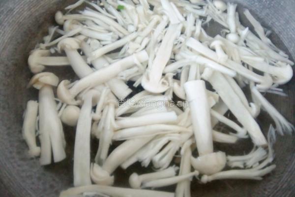 蘑菇汤的做法图解4