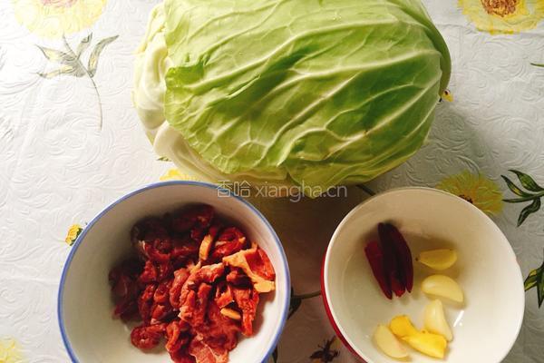 卷心菜炒牛肉的做法图解1