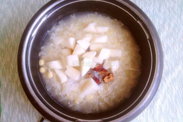 冰糖雪梨银耳粥的做法图解8