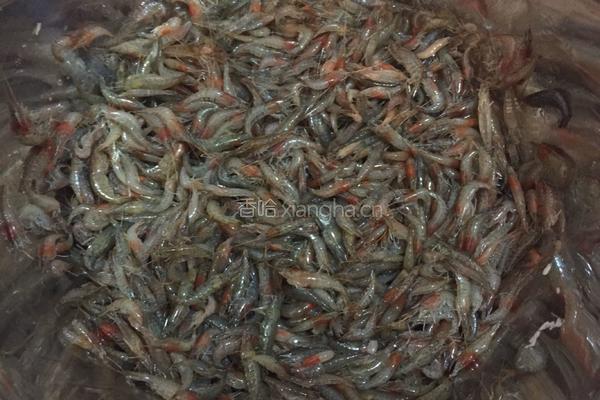 酥炸小虾米的做法图解1