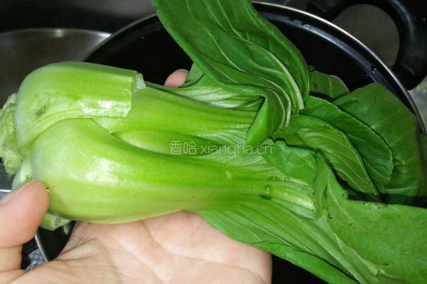 台湾卤肉饭的做法图解14