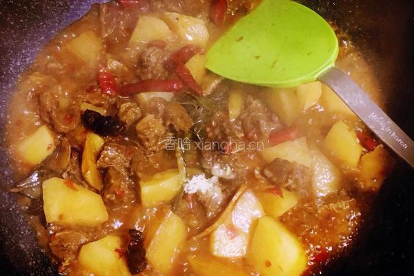 土豆烧牛肉的做法图解14
