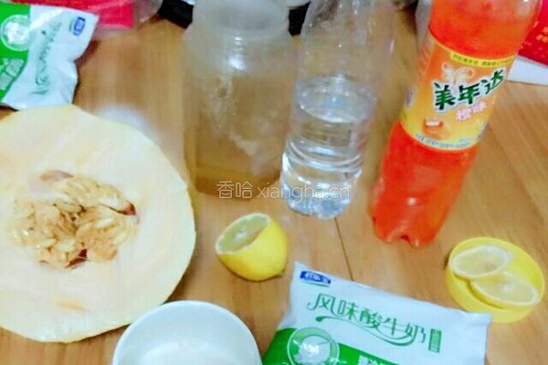 哈密瓜橙味奶昔的做法图解1