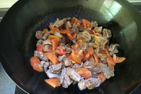 西红柿牛腩的做法图解8