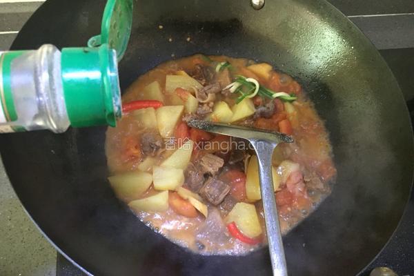 番茄土豆炖牛肉的做法图解14