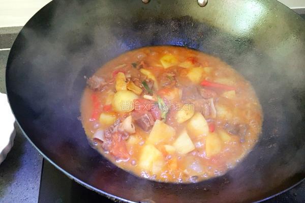 番茄土豆炖牛肉的做法图解15