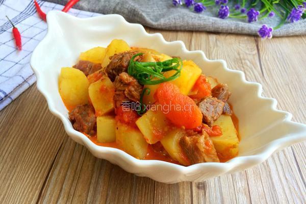番茄土豆炖牛肉的做法图解16