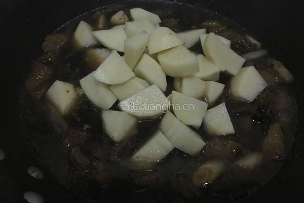 土豆炖牛腩的做法图解12
