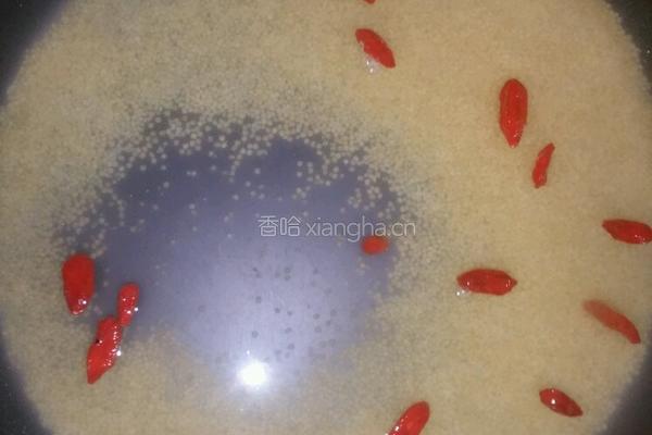 小米辽参的做法图解2