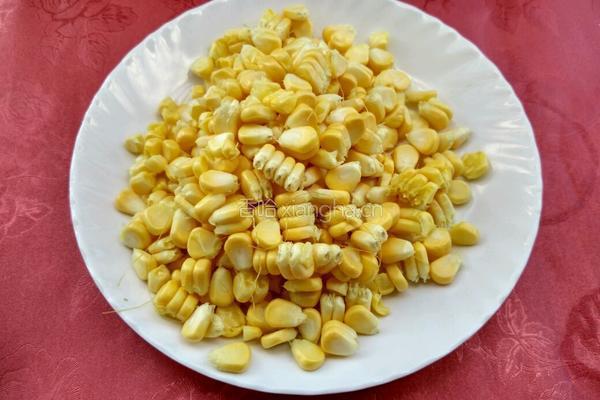 玉米豆浆的做法图解3