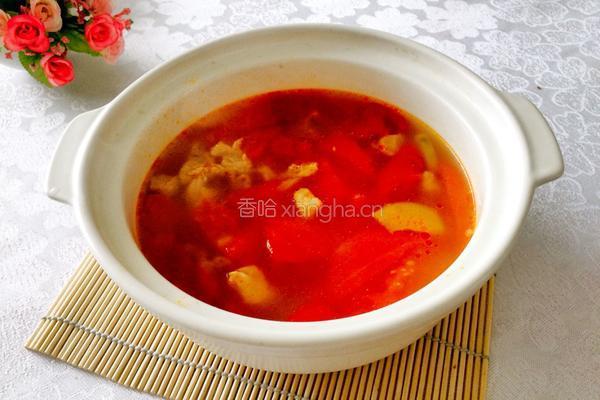 西红柿牛腩汤的做法图解6