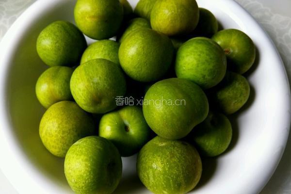 李子酒的做法图解1