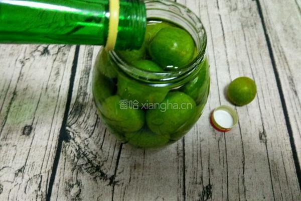 李子酒的做法图解5