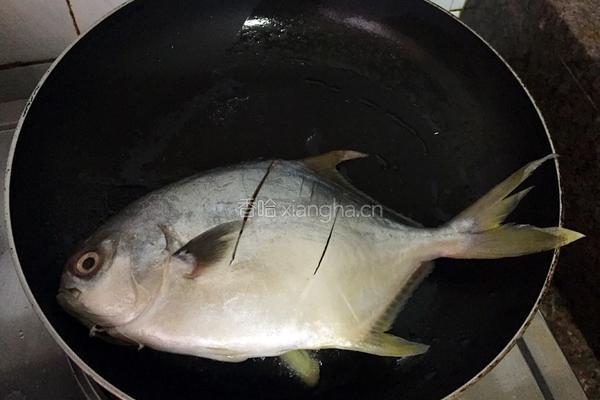 红烧海鲳鱼的做法图解3