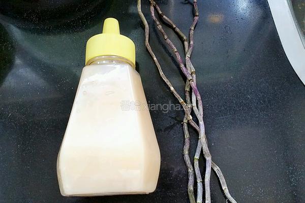 铁皮石斛饮的做法图解1