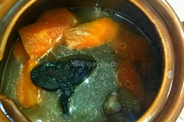 紫灵芝炖排骨的做法图解6