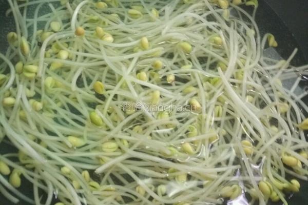 素炒黄豆芽的做法图解2