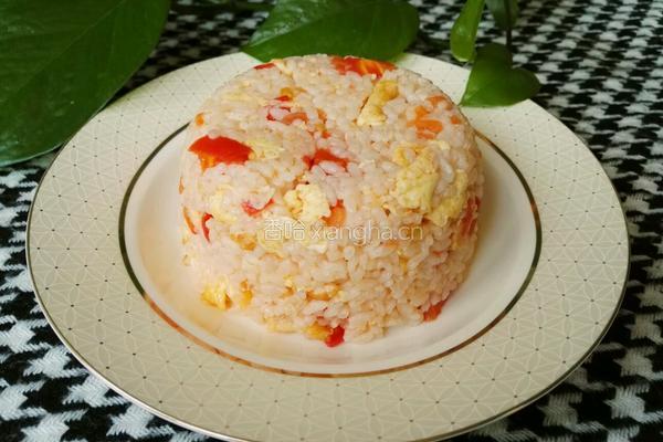 番茄鸡蛋炒饭的做法图解9