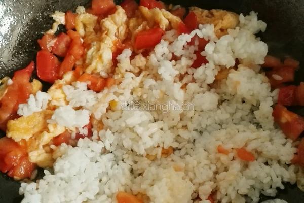 番茄鸡蛋炒饭的做法图解8