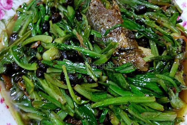 豆豉鲮鱼油麦菜