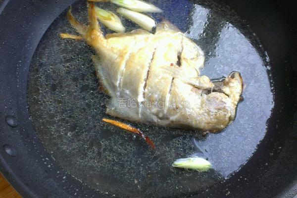 红烧银鲳鱼的做法图解5