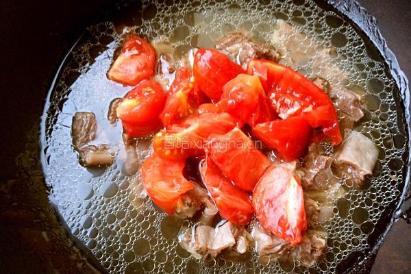 牛肉炖西红柿的做法图解9