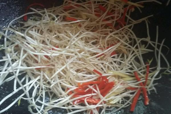绿豆芽炒鸡肉的做法图解8