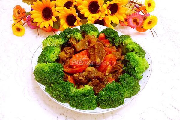 番茄炒牛肉的做法图解13
