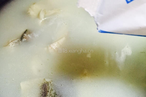 清炖鲢鱼的做法图解7