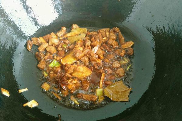 胡萝卜烧羊肉的做法图解5