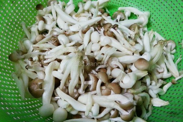 白玉菇炒肉片的做法图解2