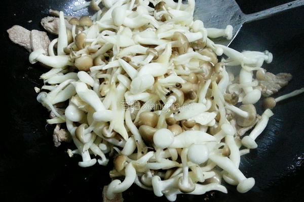 白玉菇炒肉片的做法图解5