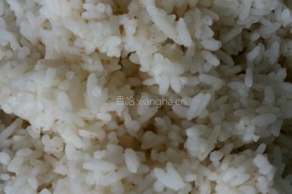 白菜炒饭的做法图解3