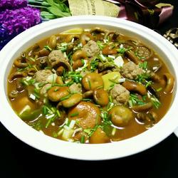 枞树菌炖肉丸的做法[图]