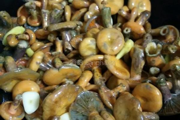 枞树菌炖肉丸的做法图解12