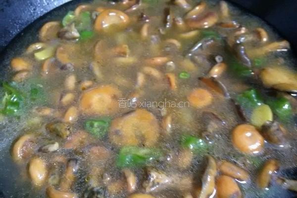 枞树菌炖肉丸的做法图解14